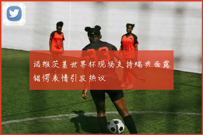 诺维茨基世界杯现场支持瑞典面露错愕表情引发热议